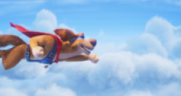 Super pies i kot łotr - zdjęcie 7