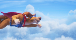 Super pies i kot łotr - zdjęcie 6