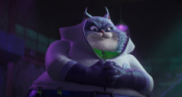 Super pies i kot łotr - zdjęcie 10