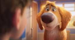 Super pies i kot łotr - zdjęcie 2